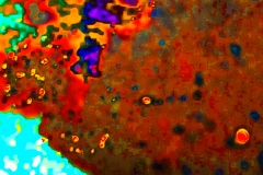 creative_0219