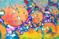 creative_0275