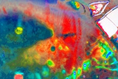 creative_0282