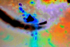 creative_0295