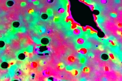 creative_0439