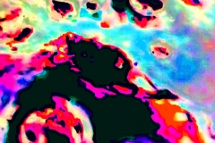 creative_0443-1