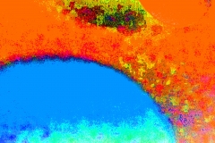 creative_0456-1