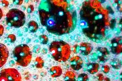 creative_0476-1