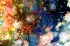 creative_0489