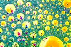 creative_0494