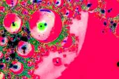 creative_0495