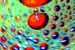 creative_0498