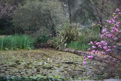 nature_06