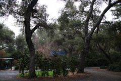 nature_09
