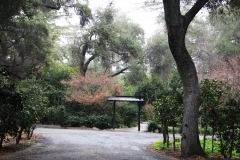 nature_12