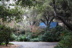 nature_13