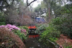 nature_14