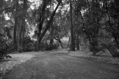 nature_15