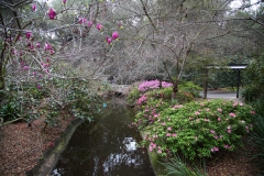 nature_16