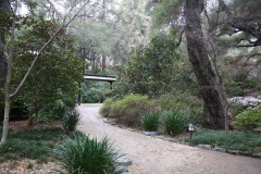nature_17