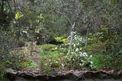 nature_21