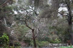 nature_24