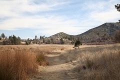 nature_33