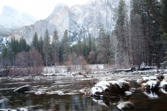 nature_53
