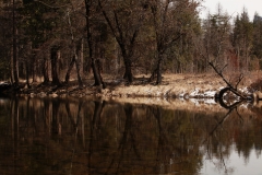 nature_62