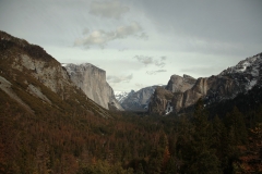 nature_65