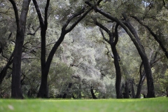 nature_68