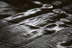 things_02