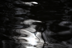 things_49