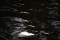 things_51