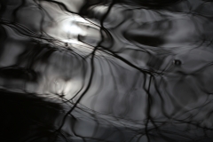 things_54