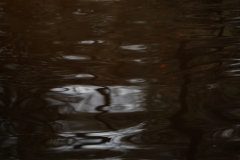 things_56