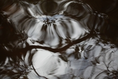 things_65